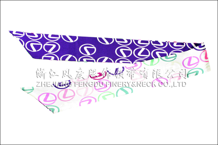 6196600_雷克薩斯真絲小長(zhǎng)巾.jpeg